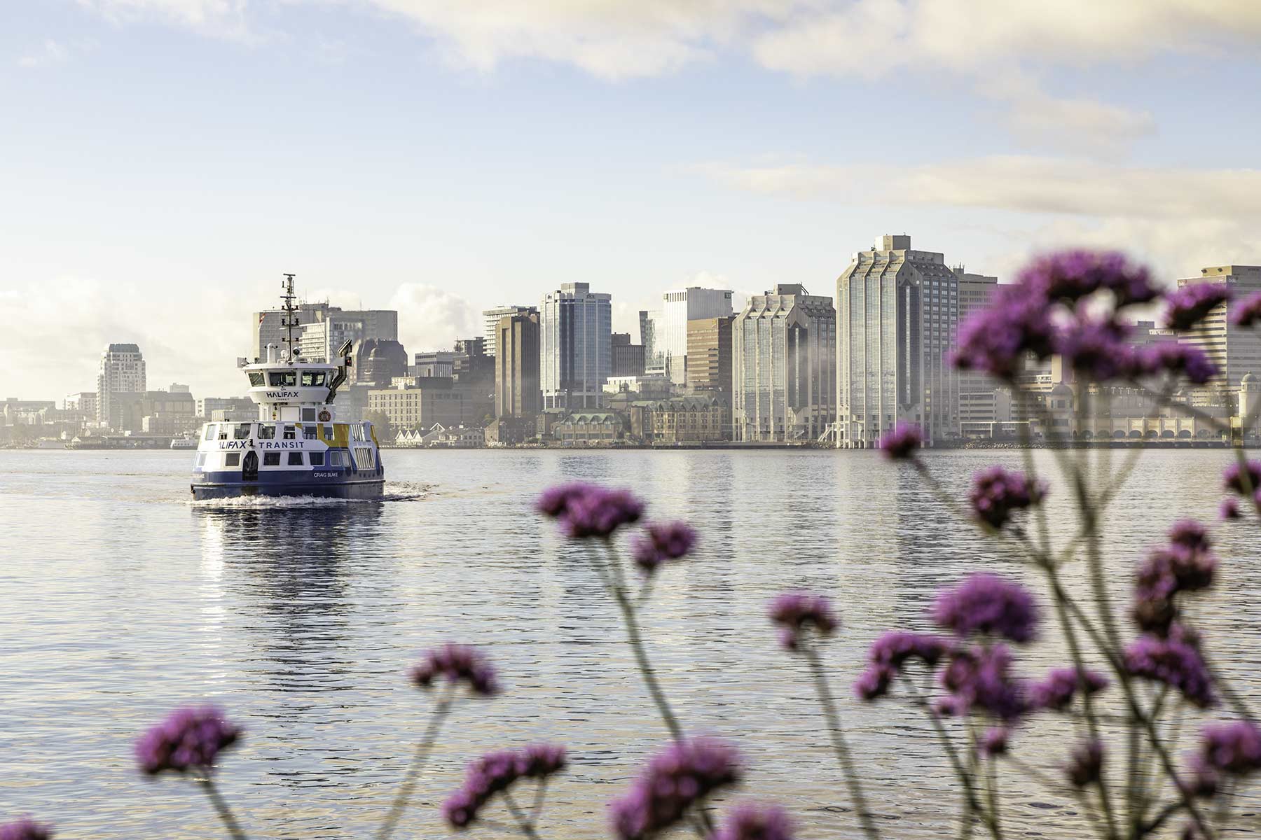 Halifax_harbour